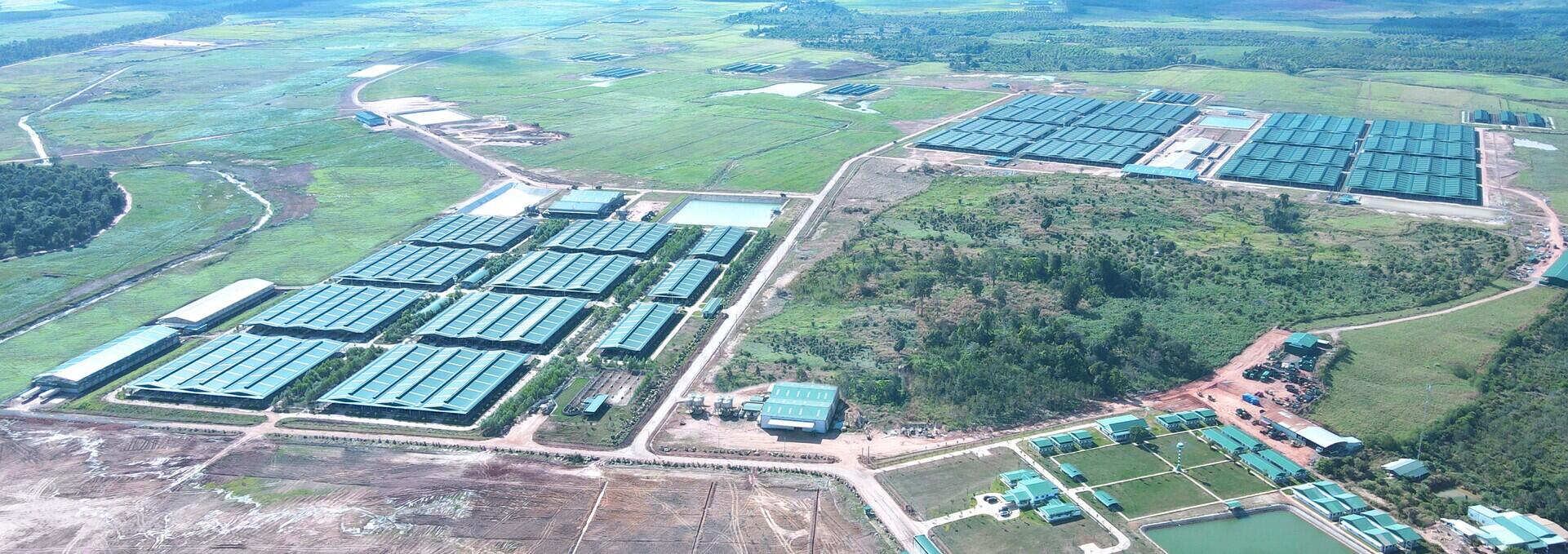 Lễ thành lập công ty