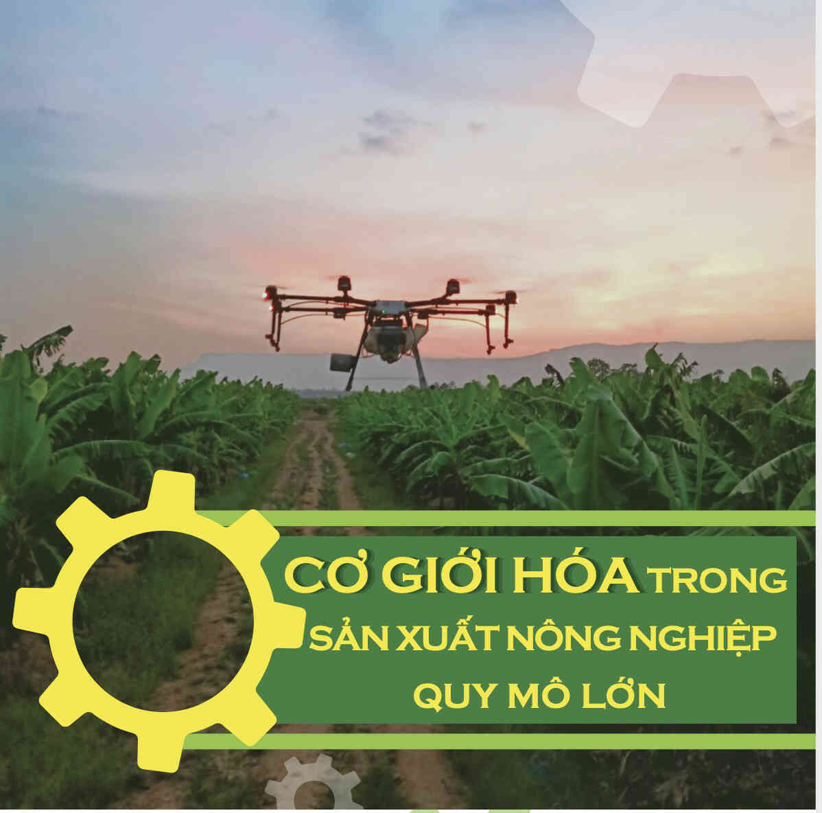Cơ giới hóa trong sản xuất nông nghiệp quy mô lớn