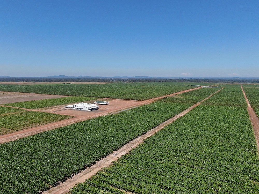 THACO AGRI của ông Trần Bá Dương tham vọng thu 350 triệu USD từ xuất khẩu trái cây năm 2022